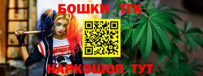 гашик Краснодар