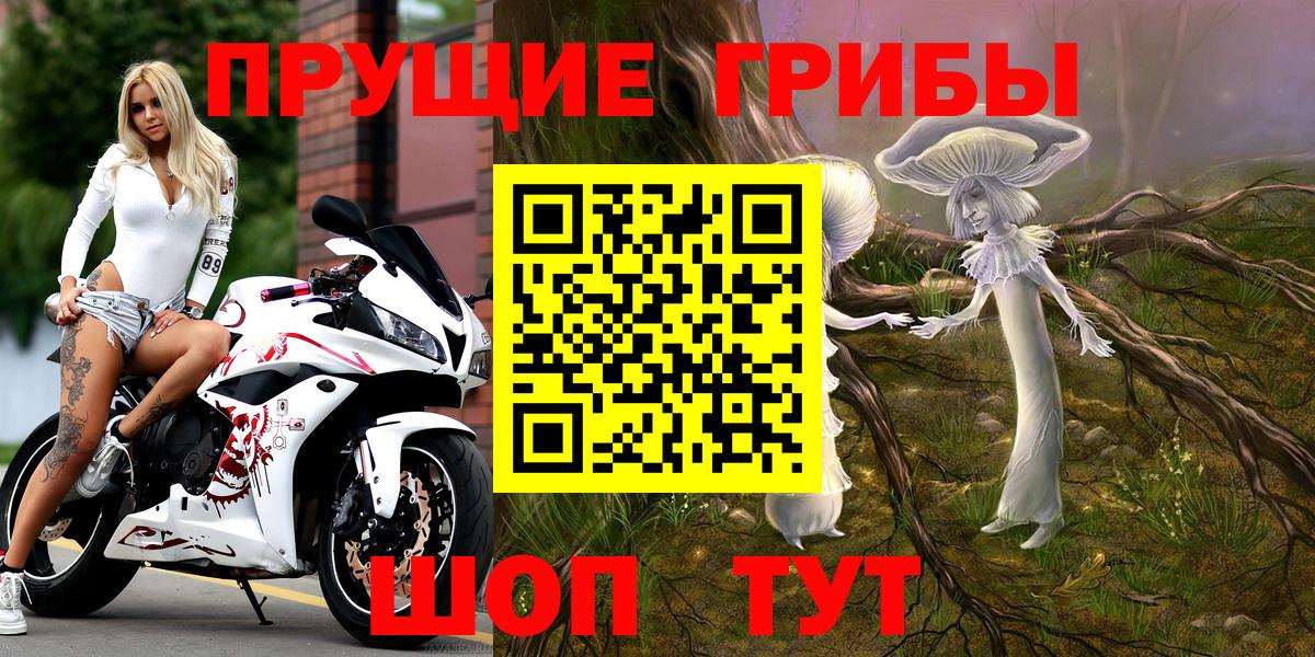 Псилоцибиновые грибы GOLDEN TEACHER  Псилоцибиновые грибы Cubensis  Вход с VPN  Клинцы 
